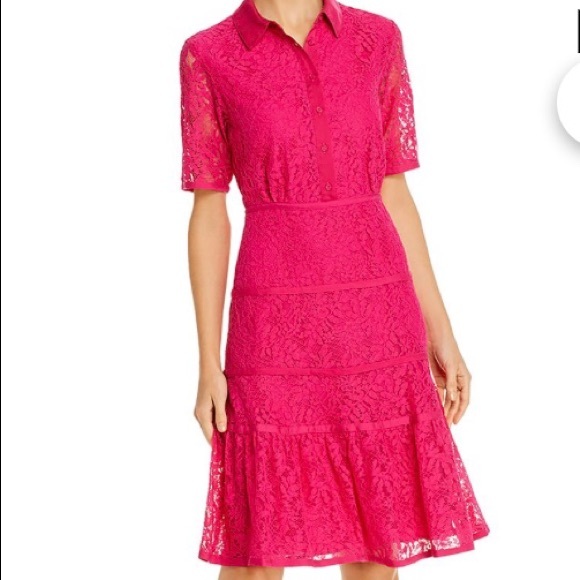 Nannette Dresses & Skirts - NWT Nanette Fuchsia Lace dress - 10